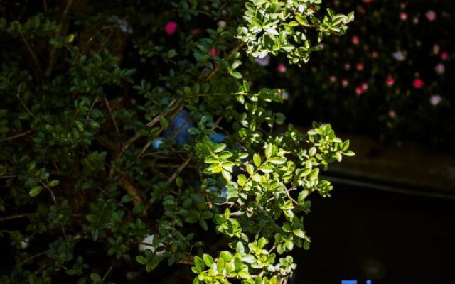 TaiShidi Think House garden