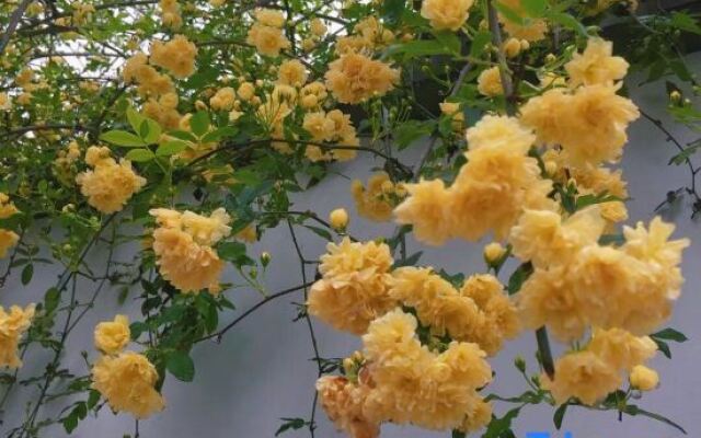 Xiushan Yingyuan Hostel