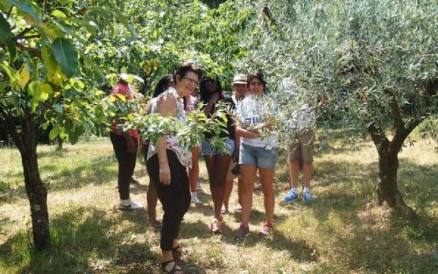 Farm Stay Domacija Butul