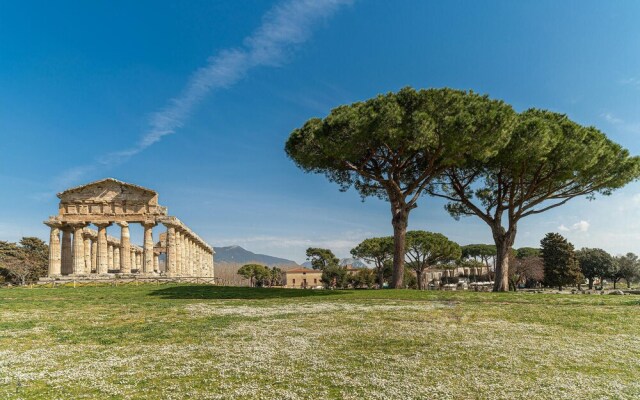 Villa dream