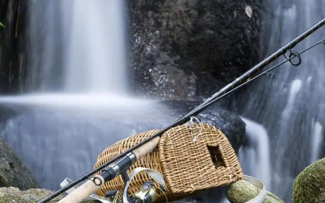 Quinta Do Engenho - Eco Parque