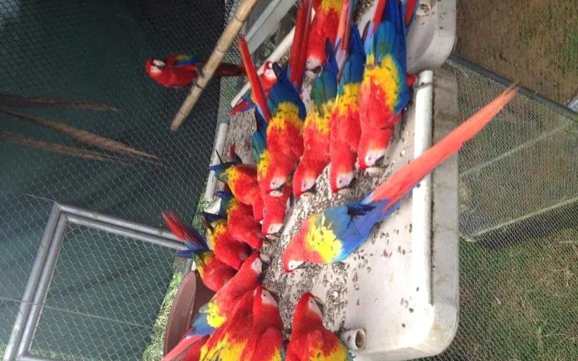 Cabañas el Porvenir