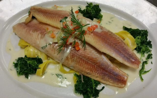 Hotel-Restaurant Frohlich