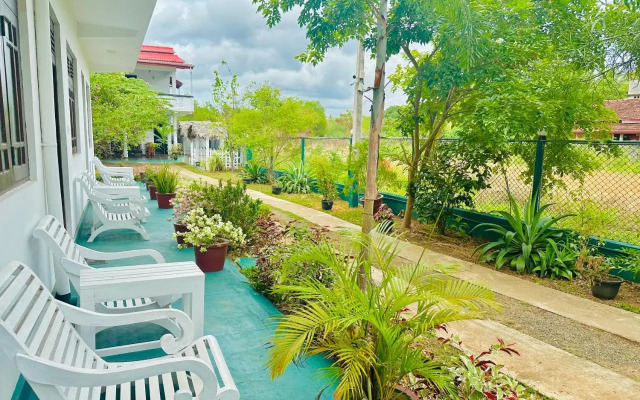 New Peacock Resort