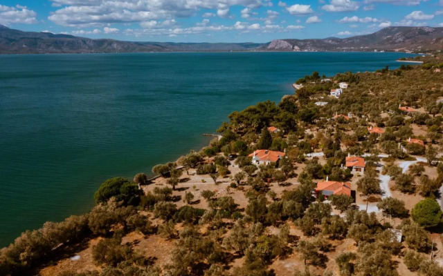 Traditional Architecture Seafront Stone House in 25000sqm Olive Grove - C