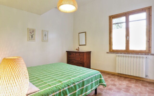 Geranio Sughera in Sughera