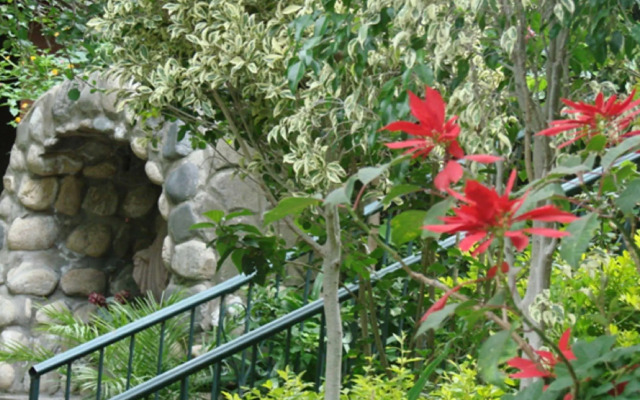 Rio San Pedro Bed and Breakfast