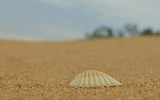 Wild Sands Beach Villa