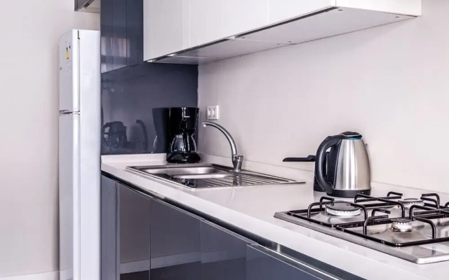 Central Flat With Sleek Interior in Sisli