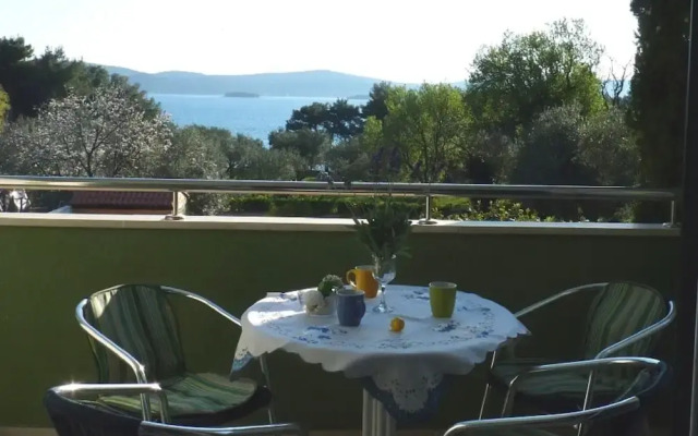 Viola - With Pool - A3