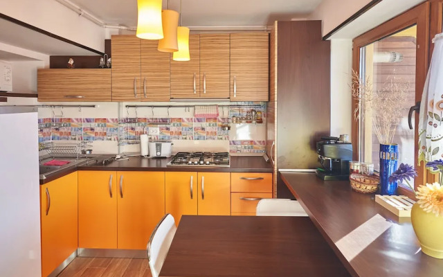 Apartment Poiana Stechil