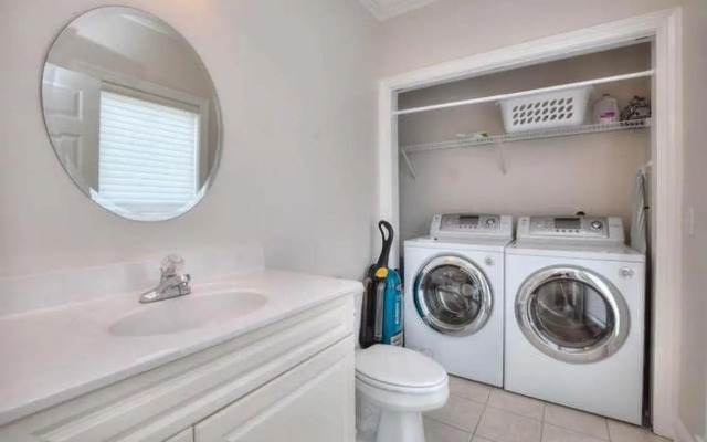 Stranded Indolphinitely