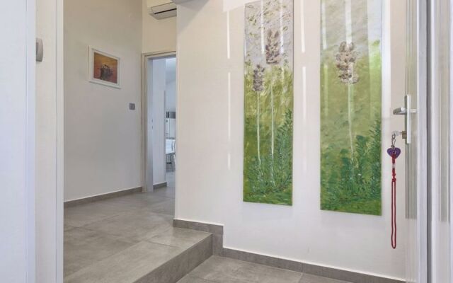House Lino ?A tinjan
