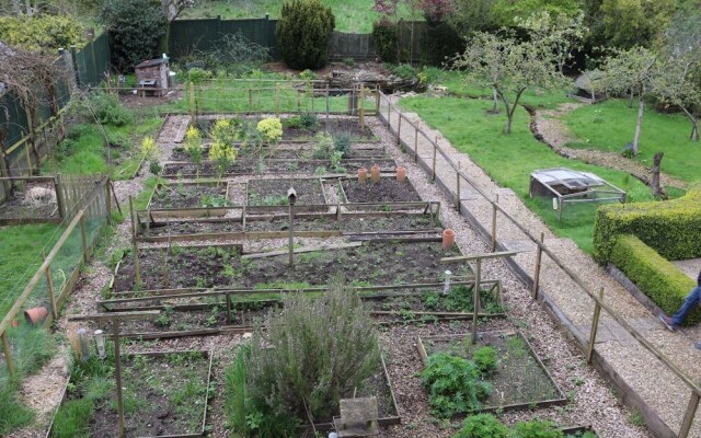 Black Dog Farm