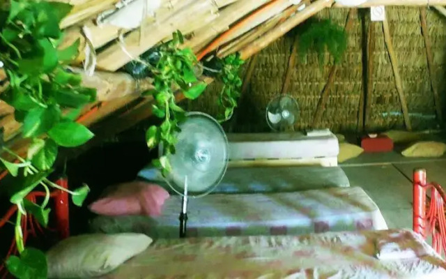 Xaman Eco-Hostel
