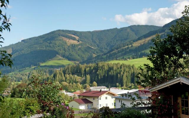 Animal -friendly Apartment in Leogang