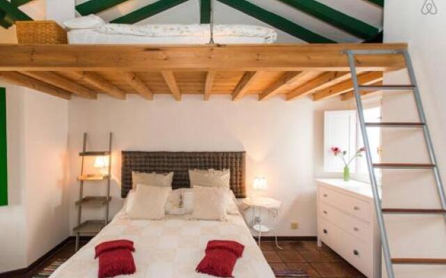 Tradicional Oasis Sevillano