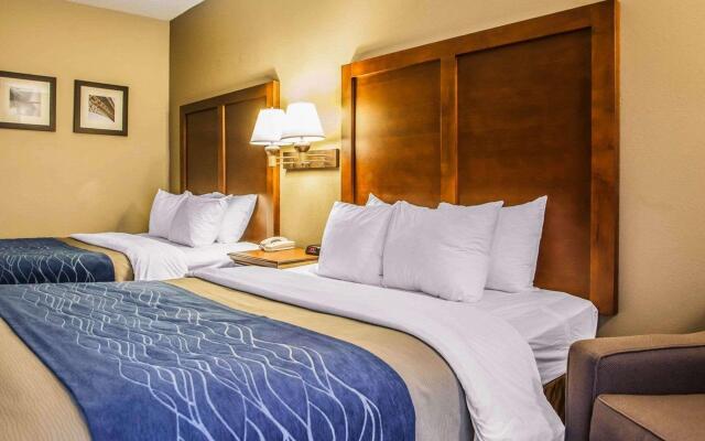Comfort Inn & Suites St. Louis - O'Fallon
