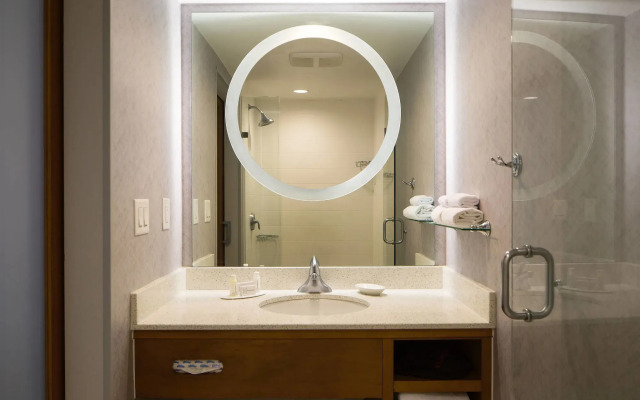 SpringHill Suites by Marriott Miami Downtown/Medical Center