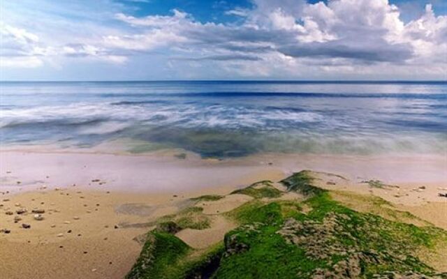 Flower Bud Bungalows