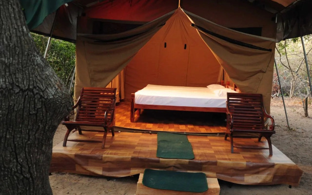 Yala Bear Safari Camp Tents