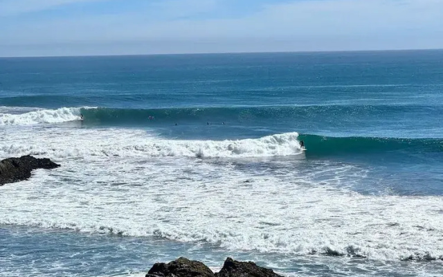 Olas de Buchupureo - con vida de campo