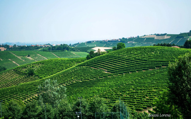 Villa Bellavista Alba