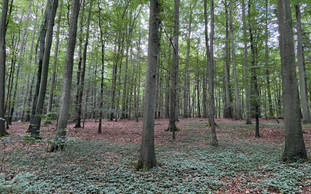 K 357 - Monteurzimmervermittlung und Vermietung Lübeck