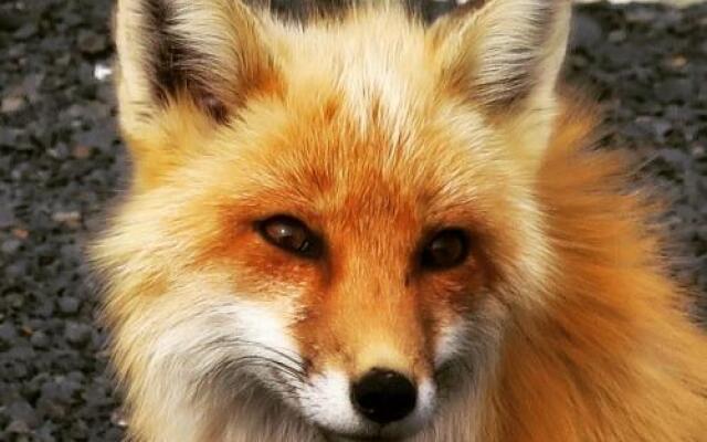 The Convent Guesthouse