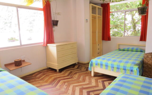 Hostal Plantas y Blanco