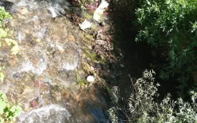 Rossi Rest House By The River