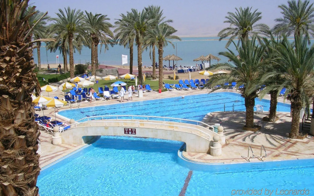 Vert Dead Sea