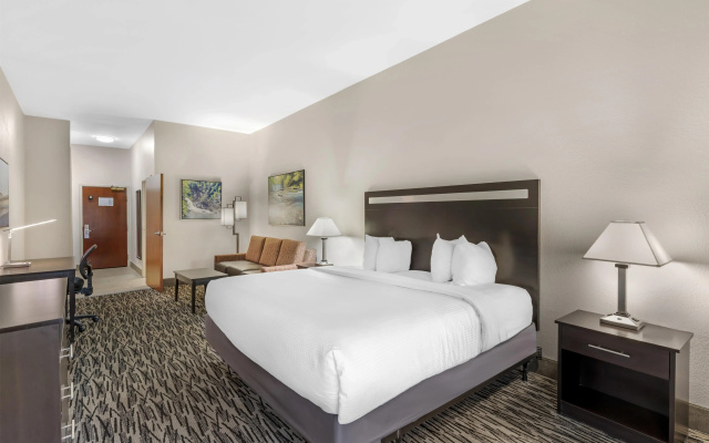 Best Western Plus McDonough Inn & Suites
