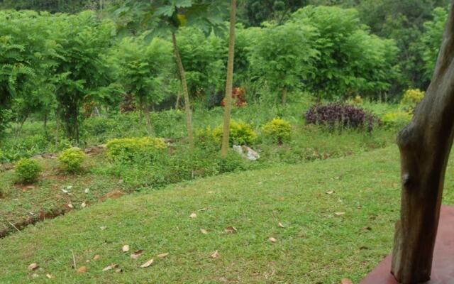 Yoho Rain Forest Eco Lodge