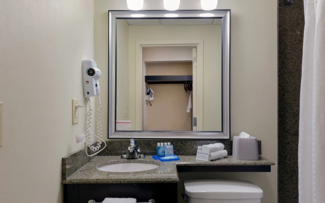 Holiday Inn Express and Suites Atlanta Downtown by IHG