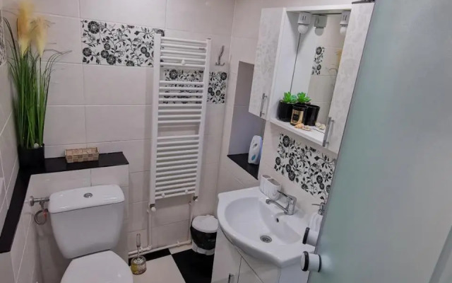 Apartament Dilama Sinaia