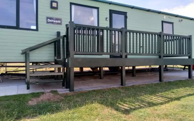 Yellow Hammer - Free Wifi