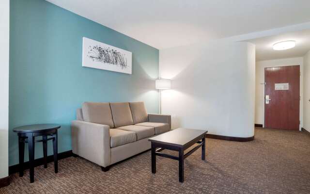 Sleep Inn & Suites Auburn Campus Area I-85