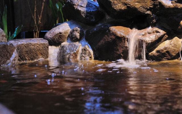 Tennen Onsen Toyama Tsurugi no Yu Onyado Nono