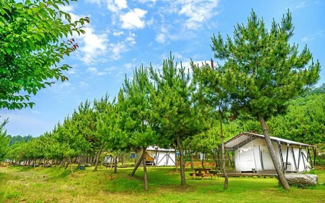 seocheon paintree glamping