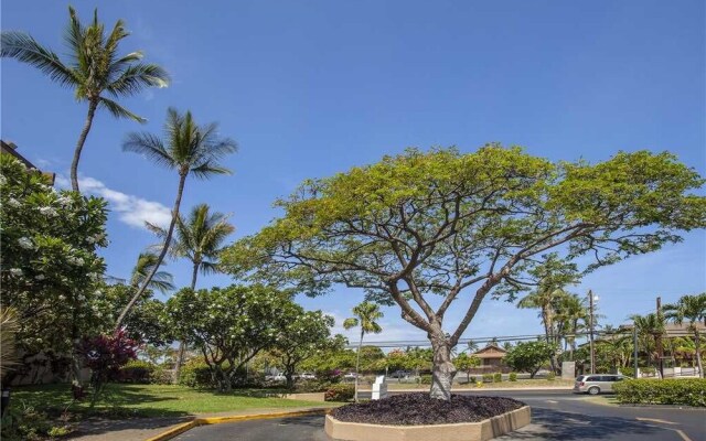 Maui Vista 3202