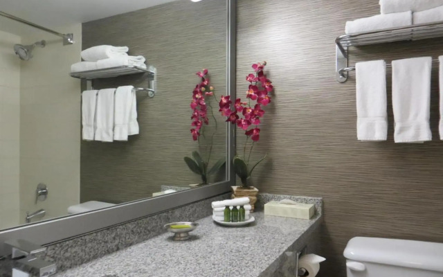Toronto Don Valley Hotel and Suites