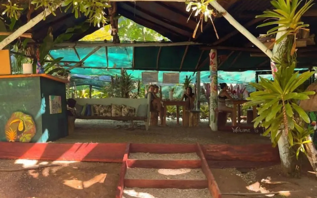 Rio Agujitas Eco Farm Hostel and Tours