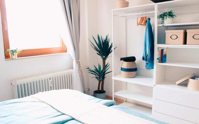 Wanderlust Panorama - Leben im Nationalpark