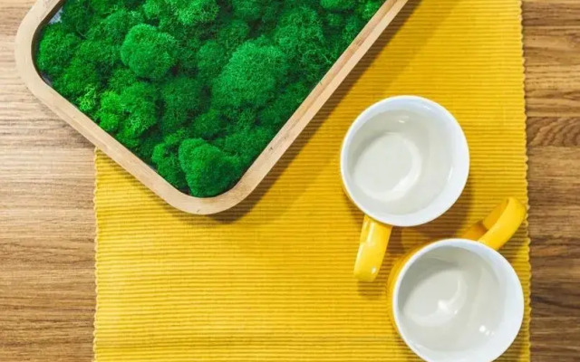 ДзенХоум на улице Большая Покровская 75