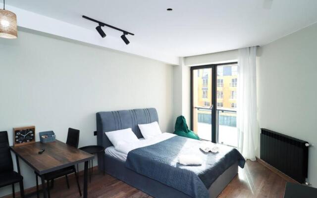 Ski In Out Studio Apartment in New Gudauri