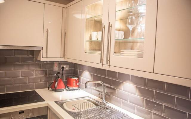 The Windmill in Dublin