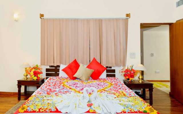 Solang Valley Resort