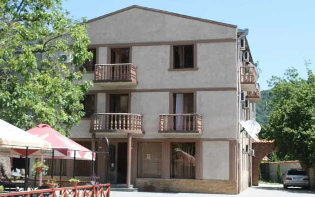 Hotel Kavkasioni