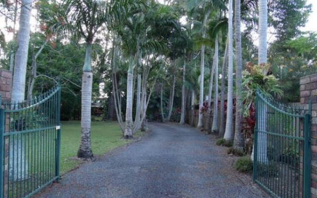 Emerald Tropical Palms